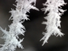 Ice Crystals