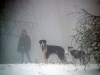 Christine, Ben and Betsy in Blizzard